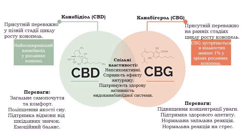 різниця між CBG і CBD