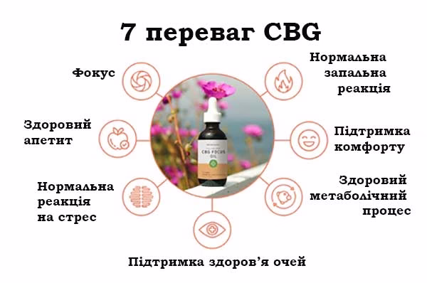 7 основними перевагами CBG