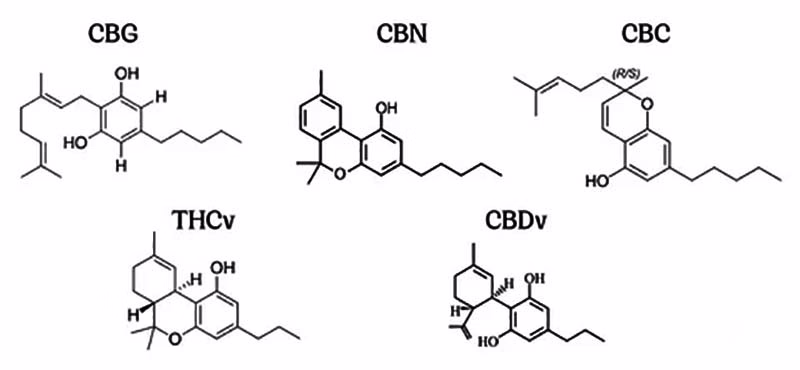 Найбільш вивчені незначні канабіноїди