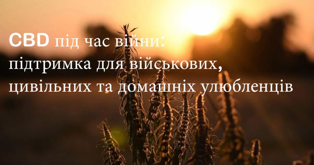 CBD під час війни: підтримка для військових, цивільних та домашніх улюбленців