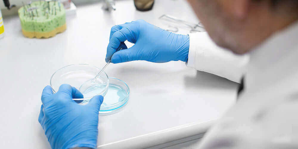 Дослідження безпеки та ефективності прийому NMN на клітинному метаболізмі