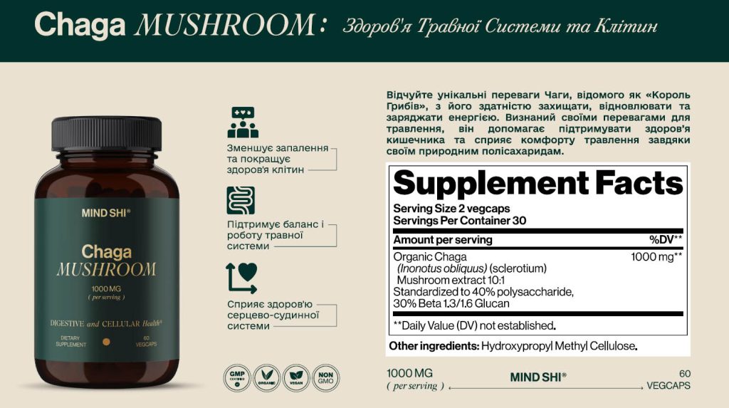 Чага (Chaga / Inonotus obliquus) - "Король Грибів"