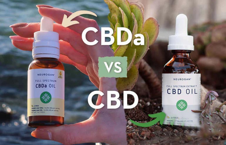 CBDa Vs CBD